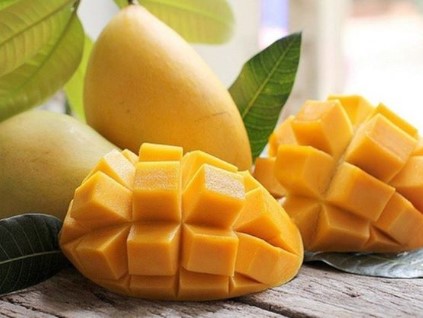 Mơ thấy cây xoài là số mấy nên chọn đánh con gì hay về Mơ thấy cây xoài là số mấy nên chọn đánh con gì hay về