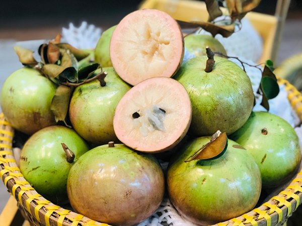 Mơ thấy quả vú sữa đánh con gì, báo mộng điềm gì?