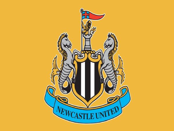 Ý nghĩa logo newcastle united – Lịch sử câu lạc bộ