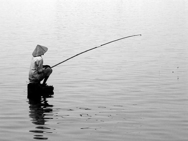 Nằm mơ thấy câu cá đánh con gì? số mấy dễ trúng