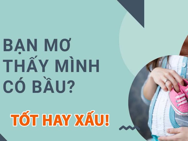 Giải mã giấc mơ thấy mình có bầu điềm gì, đánh con gì may mắn?