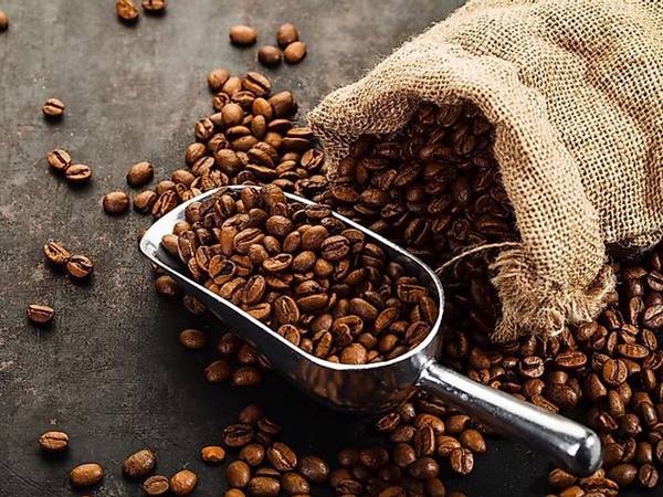 Mơ thấy cà phê đánh con gì? Giải mã con số may mắn