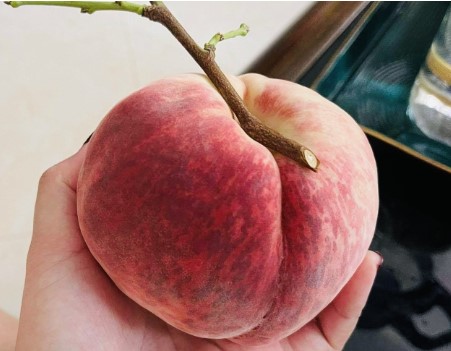 Quả đào tiên số mấy? Nằm mơ thấy quả đào tiên đánh con gì